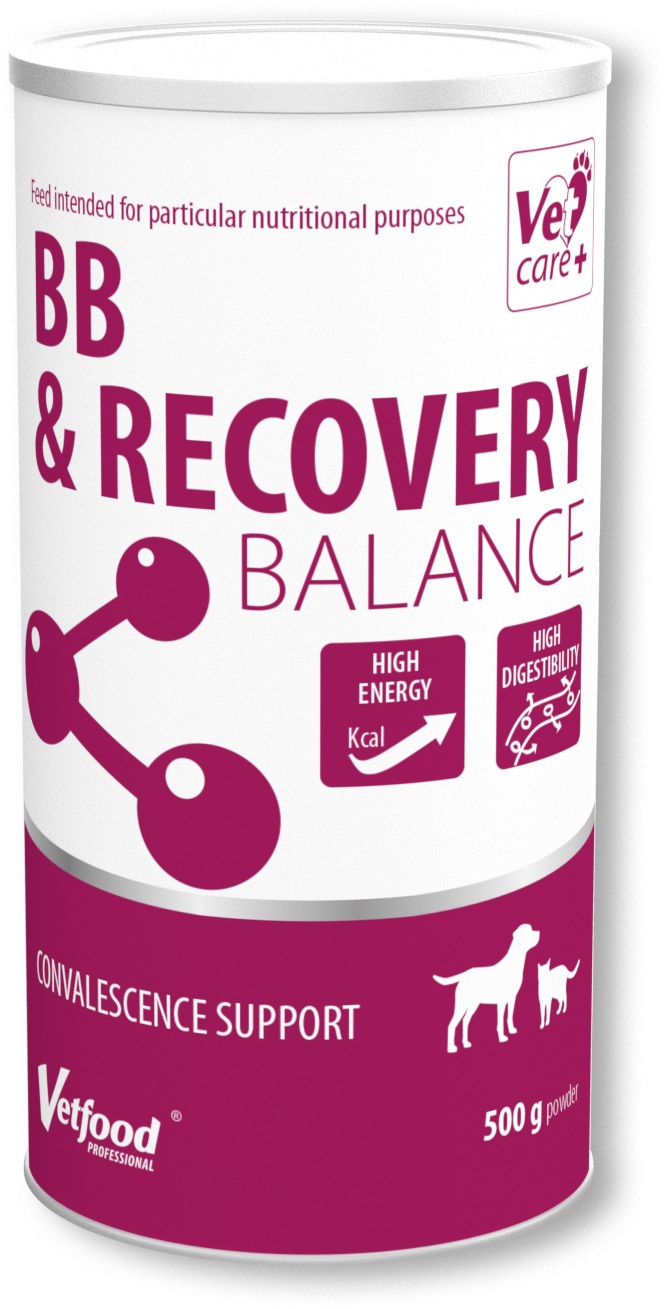 BB Recovery Balance