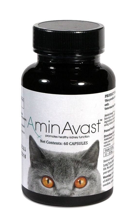 AminAvast CAT 300 mg x 60 cp
