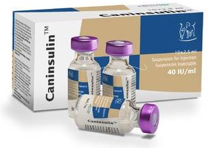 Caninsulin, 40 UI/ml 2,5ml