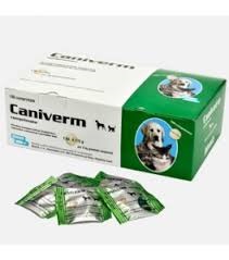 CANIVERM 1 CP 0,175g (VERDE)