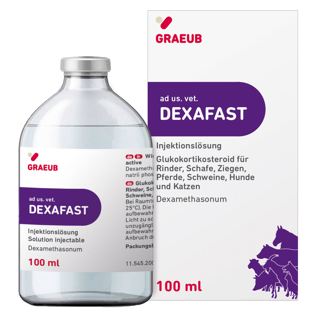 Dexafast 2mg/ml x 100ml